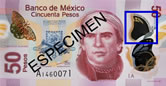 50 メキシコ紙幣に隠された数字